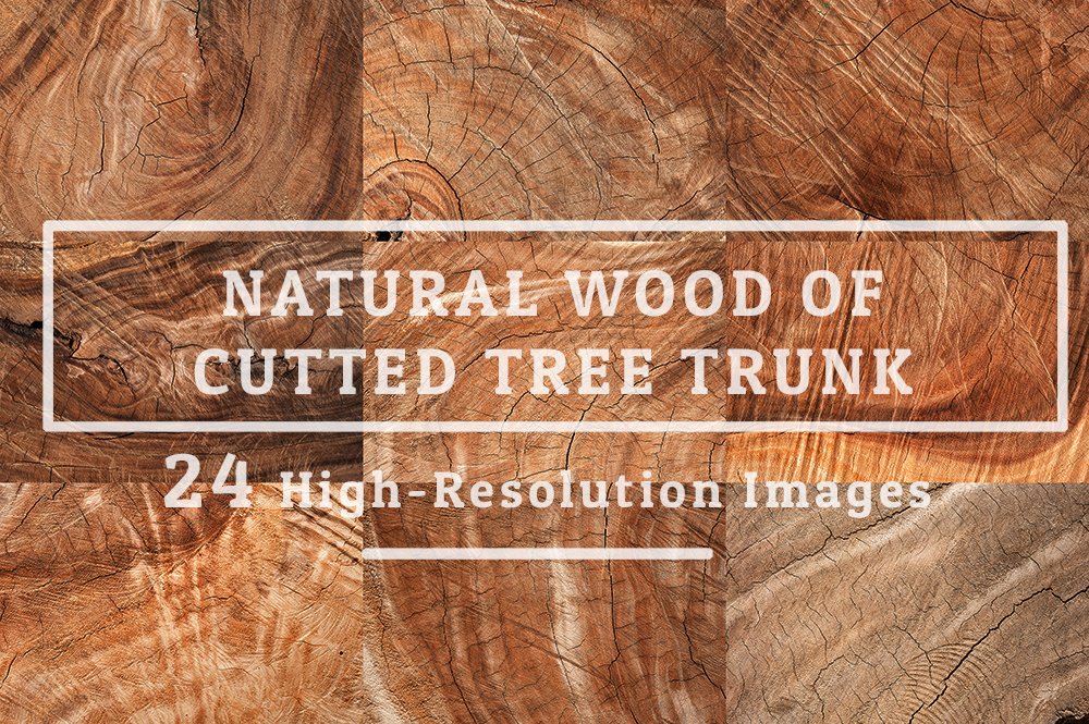 natural wood texture of cut tree trunk cover 577