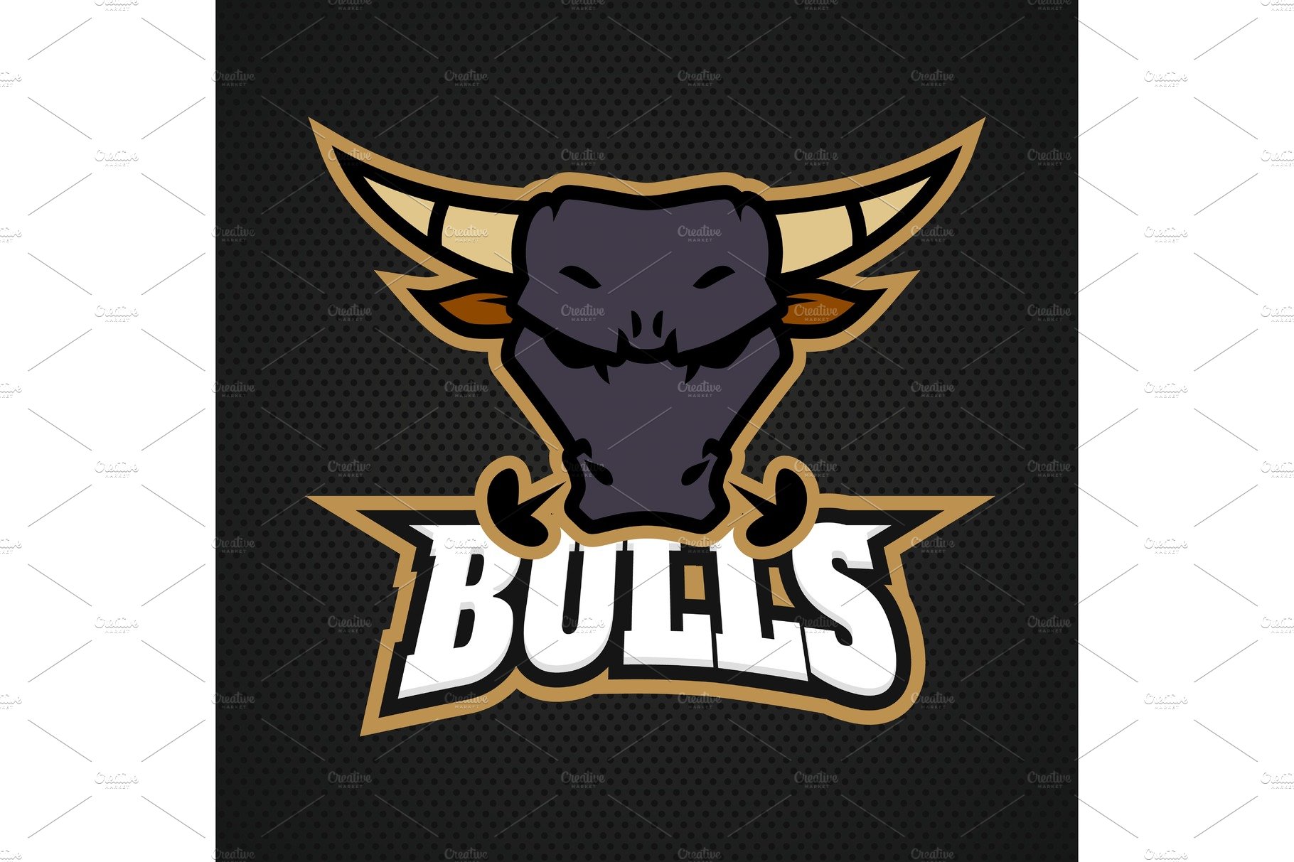 Modern professional bull logo for a cover image.