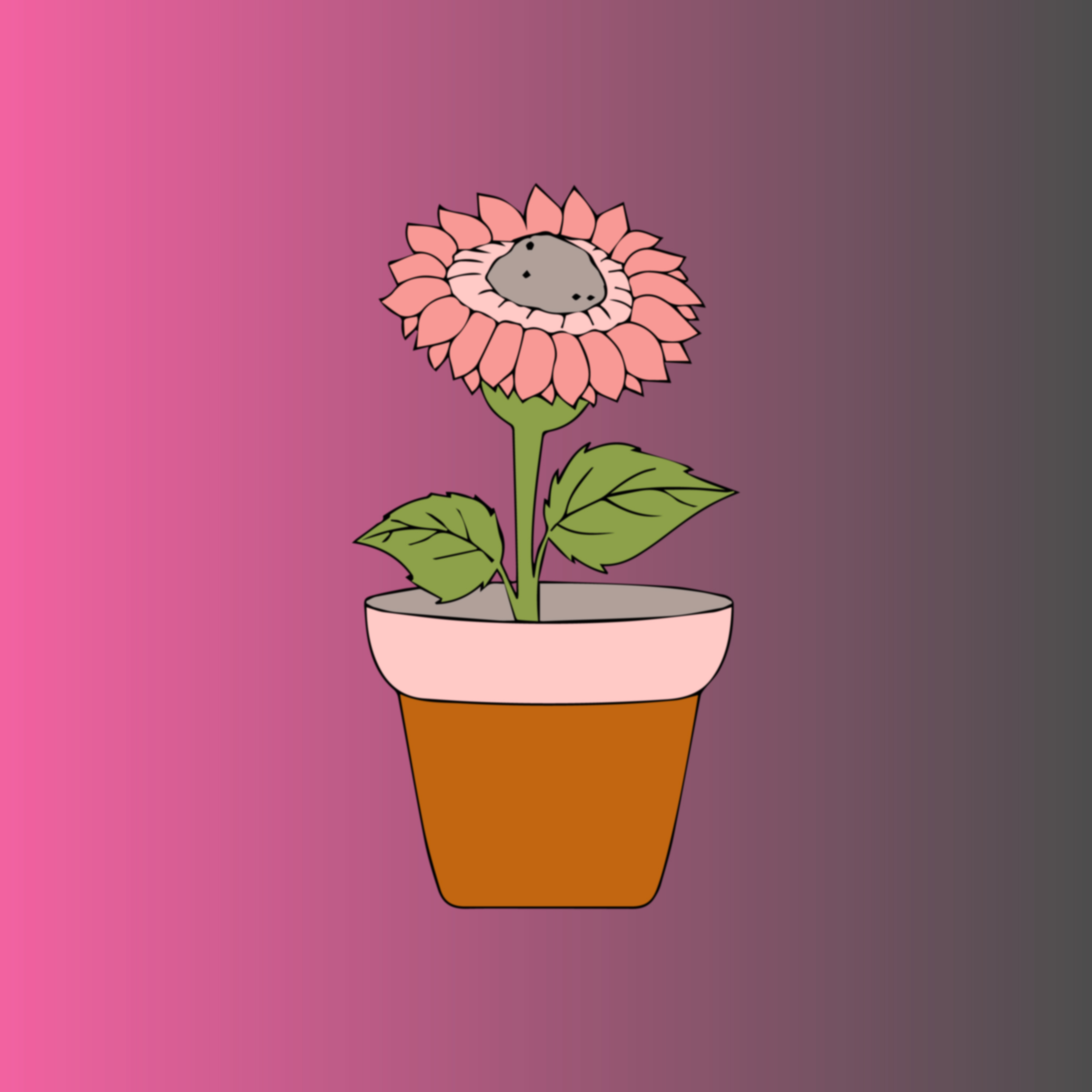 Flower in a pot on a pink background.