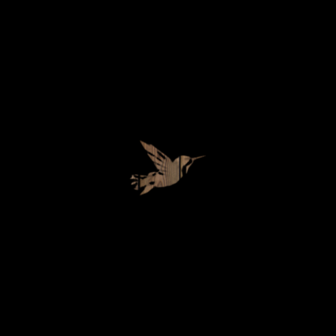 bird logo cover image.
