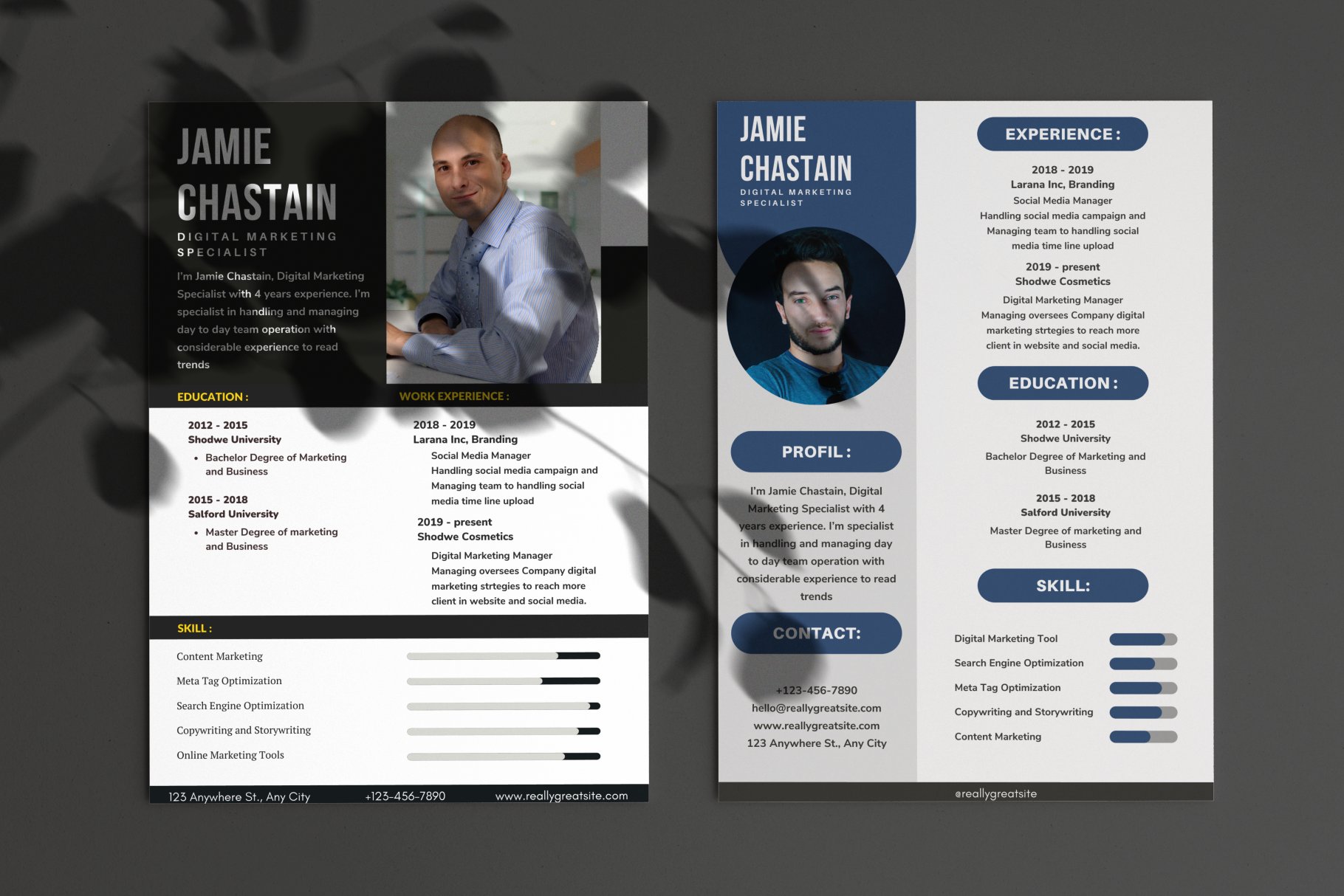 30 Canva Resume CV template cover image.