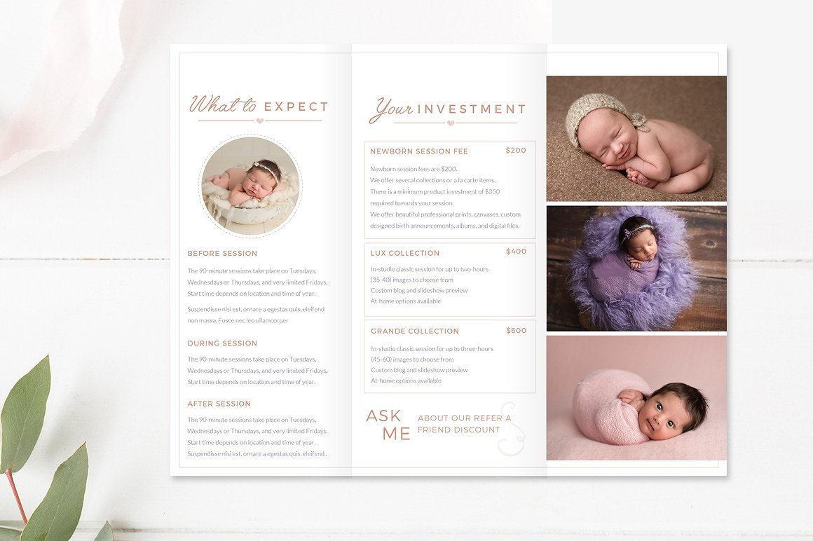 newborn photography brochure template 14 852