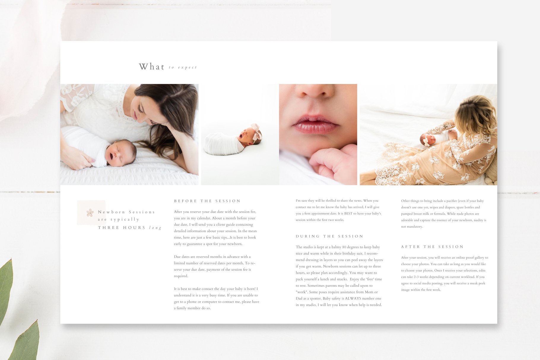 newborn photography magazine template 80