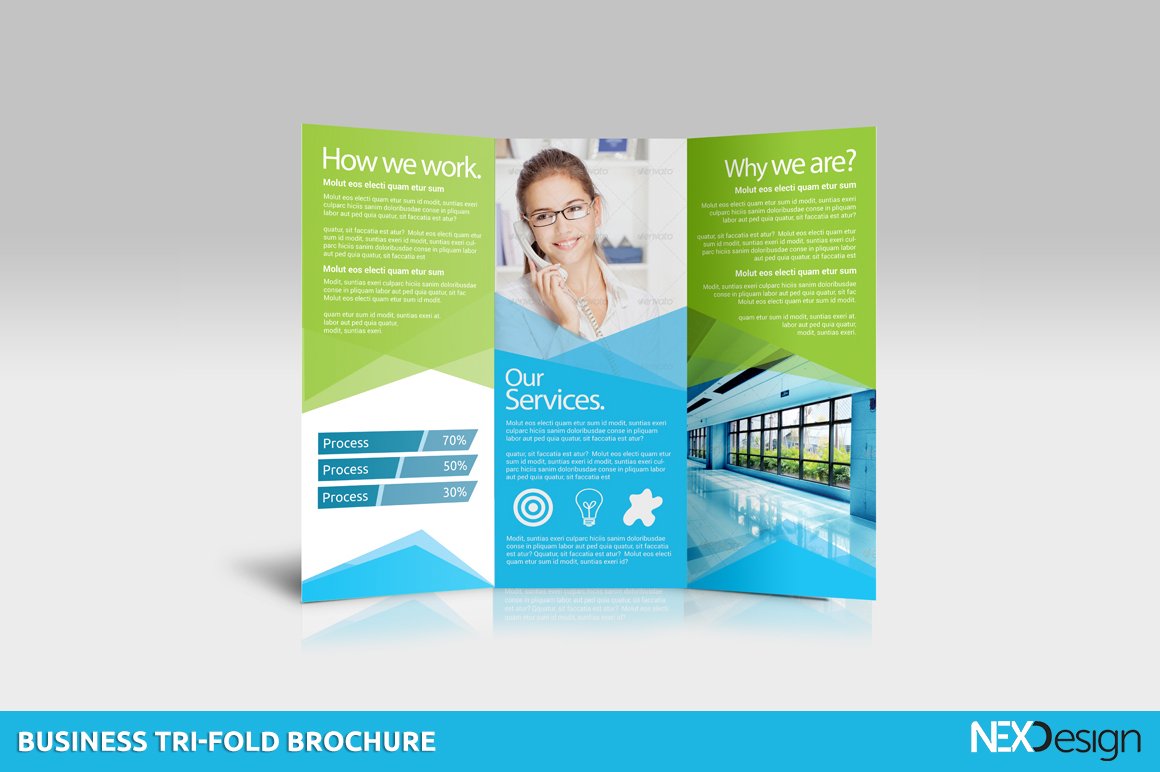 Business Tri-fold Brochures -SK preview image.