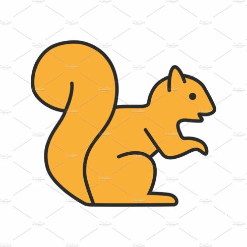Squirrel color icon cover image.