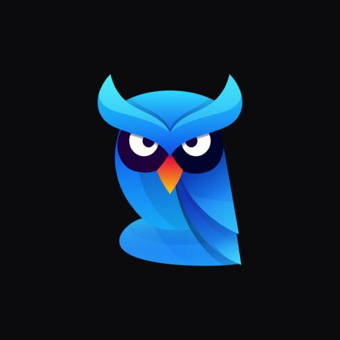 Night Owl Gradient Colorful Style. cover image.