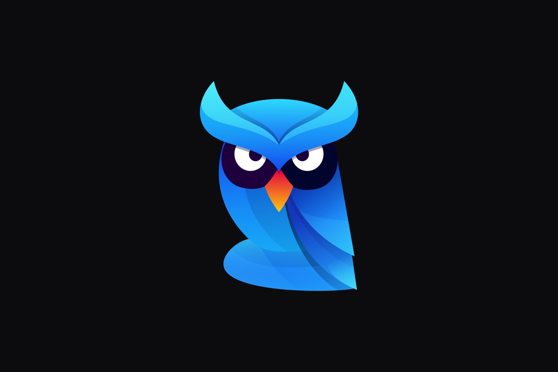 Night Owl Gradient Colorful Style. cover image.