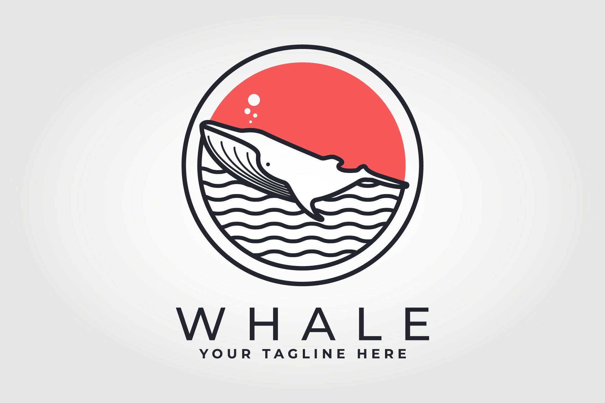 whale logo vector illustration cover image.