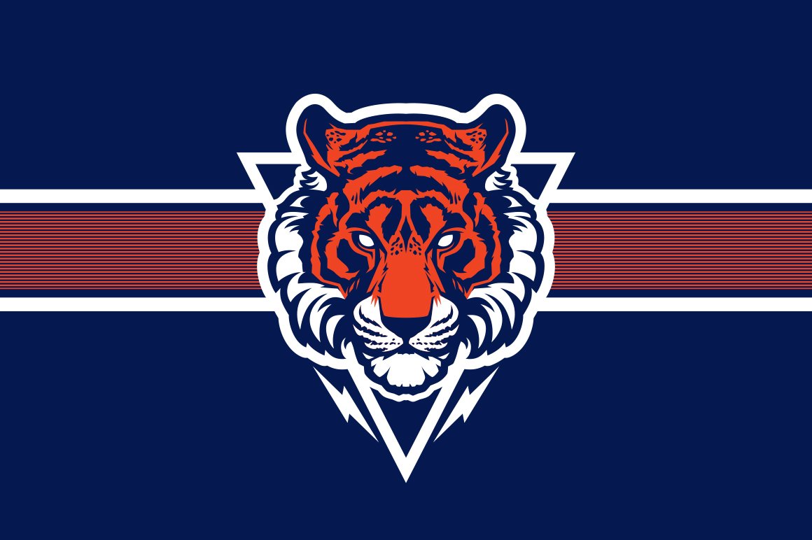 Tiger head sport logotype cover image.