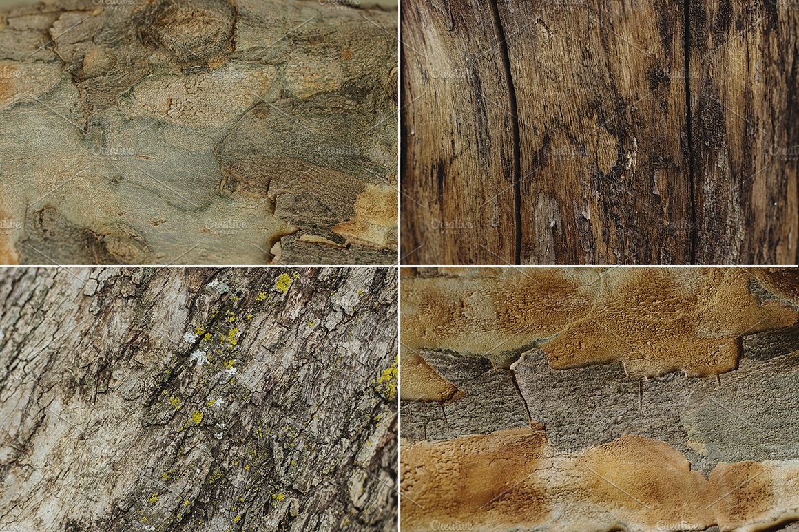 Natural Textures of Wood & Bark preview image.