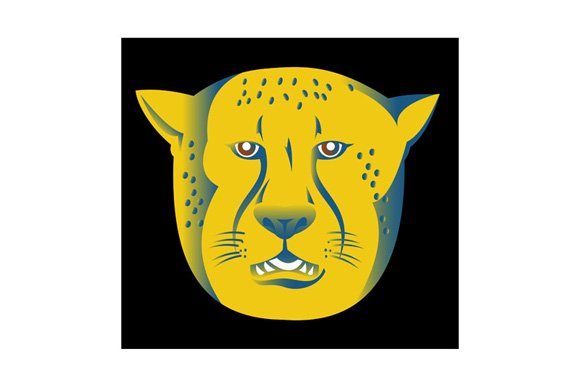 Cheetah Head cover image.