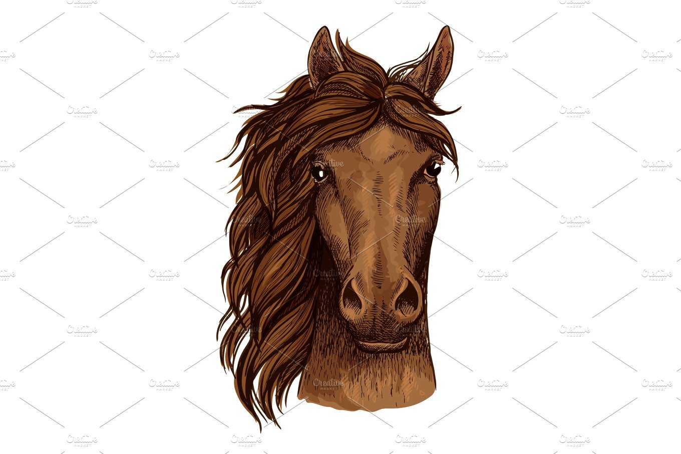 Horse head sketch of brown arabian racehorse cover image.