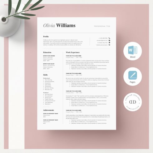 ONE Page Resume Template Kit cover image.