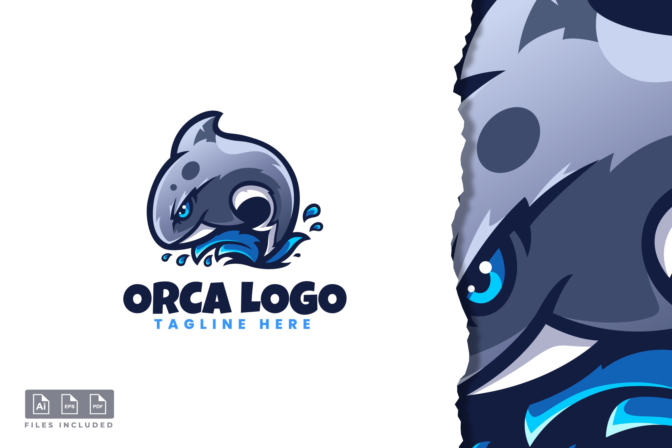 Orca Logo Template cover image.