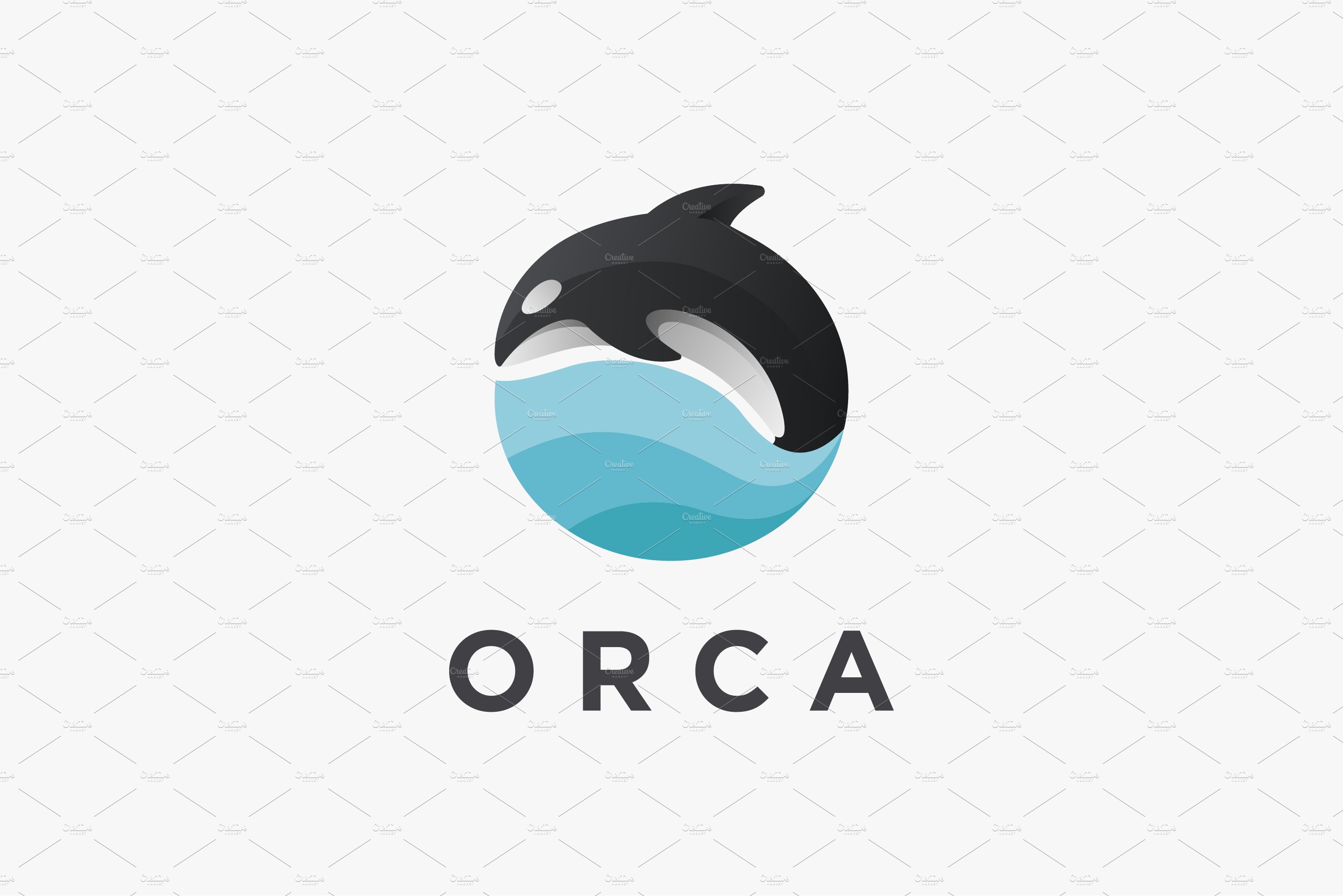 Jumping orca killer whale logo cover image.