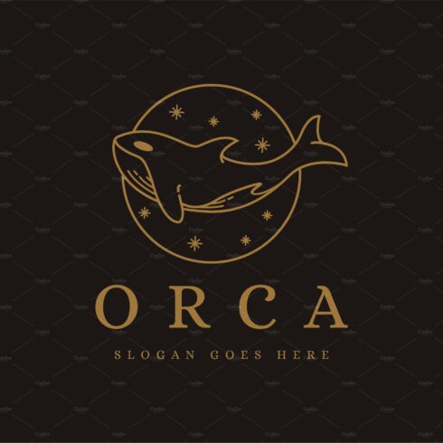 Line art orca killer whale logo cover image.