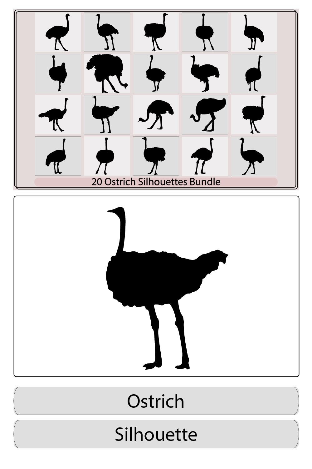 ostrich silhouette collection,silhouette of ostrich,Set of ostrich silhouettes,set of ostrich logo,Vector illustration of a black silhouette ostrich pinterest preview image.