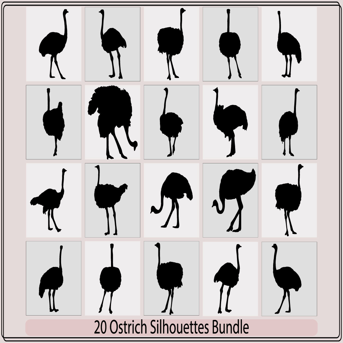 ostrich silhouette collection,silhouette of ostrich,Set of ostrich silhouettes,set of ostrich logo,Vector illustration of a black silhouette ostrich cover image.