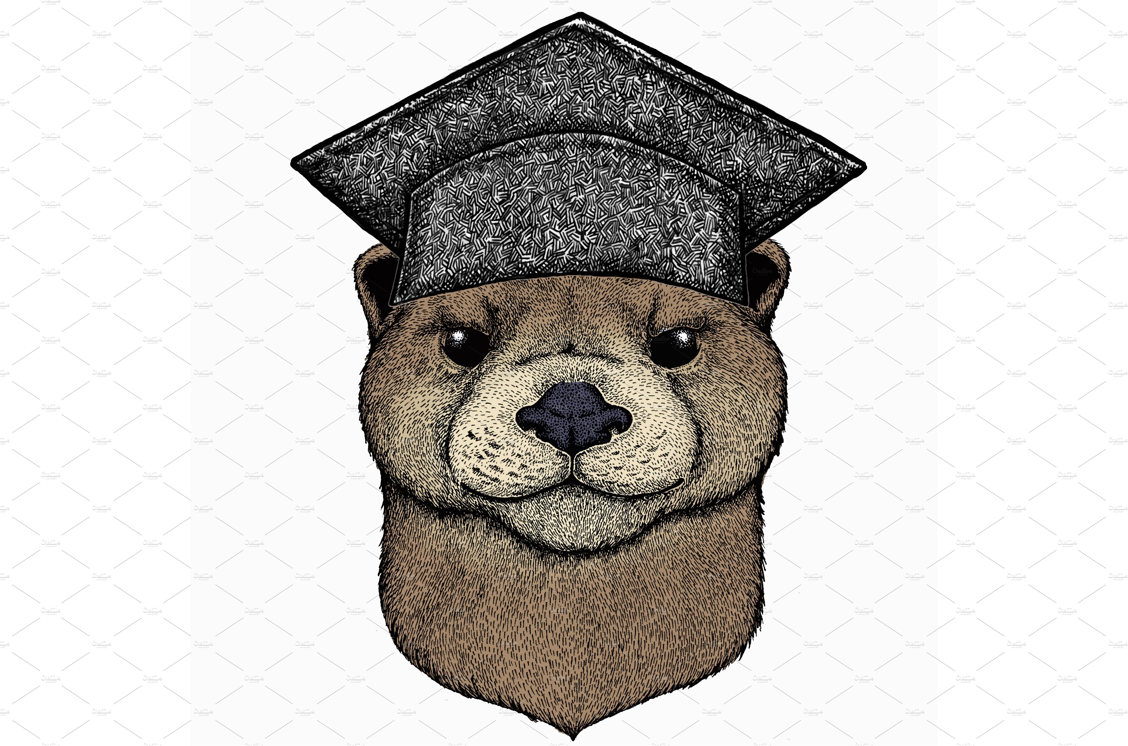 Vector portrait of otter. Square cover image.
