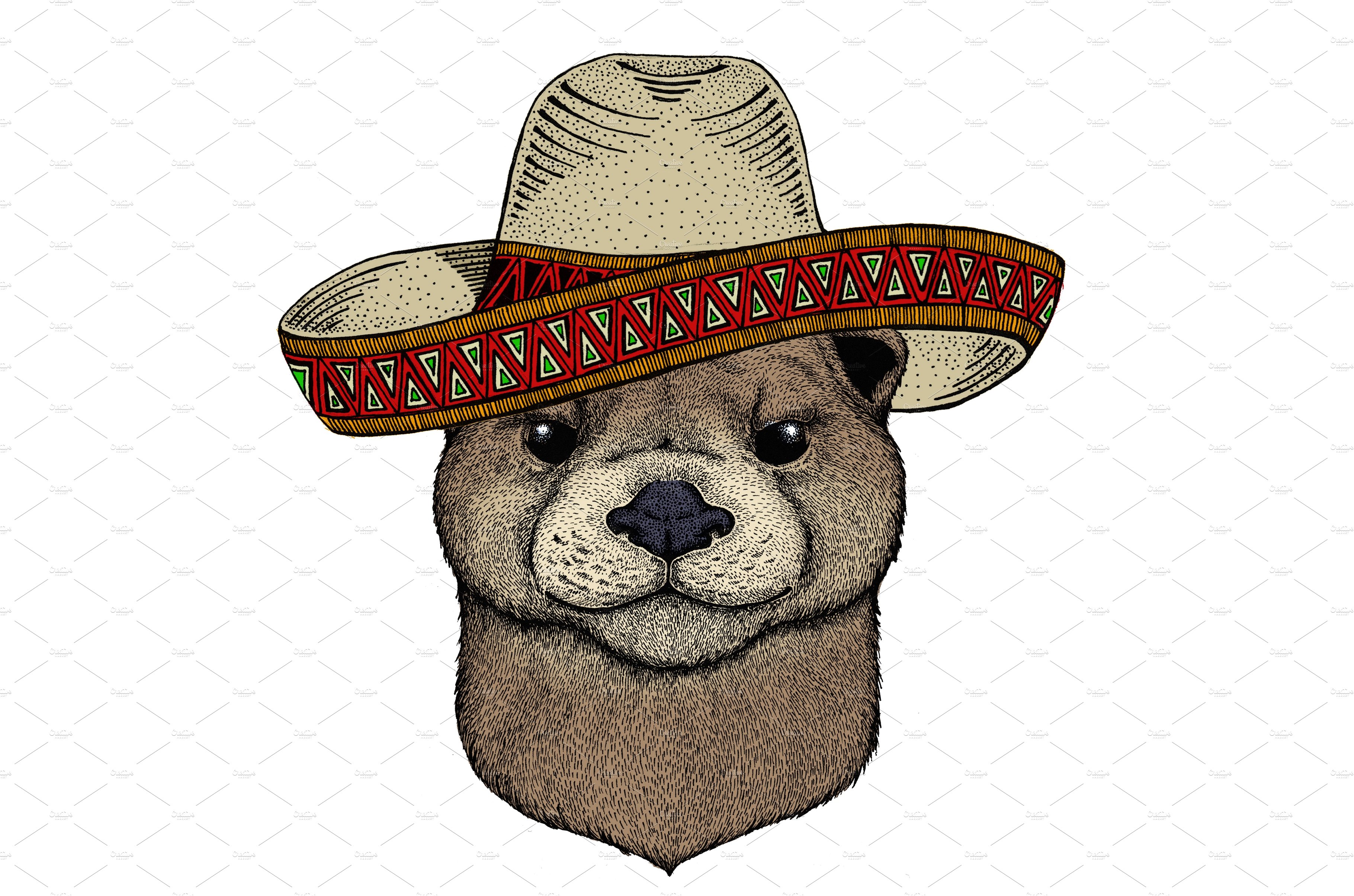 Portrait of otter. Sombrero mexican cover image.