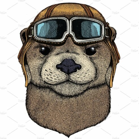 Portrait of otter. Cute animal head cover image.