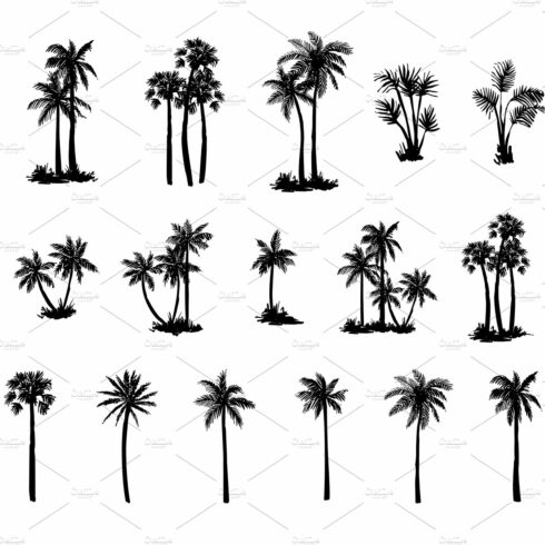 Hand drawn palm tree set cover image.