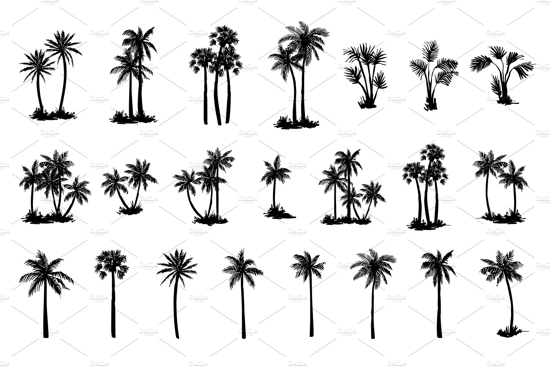 Hand drawn palm tree set cover image.