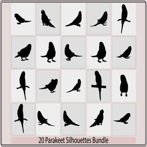 Vector of an parakeet Silhouette,Caturrita bird in profile view,Silhouette of a budgie,Vector parrot silhouettes of amazon jungle, cover image.