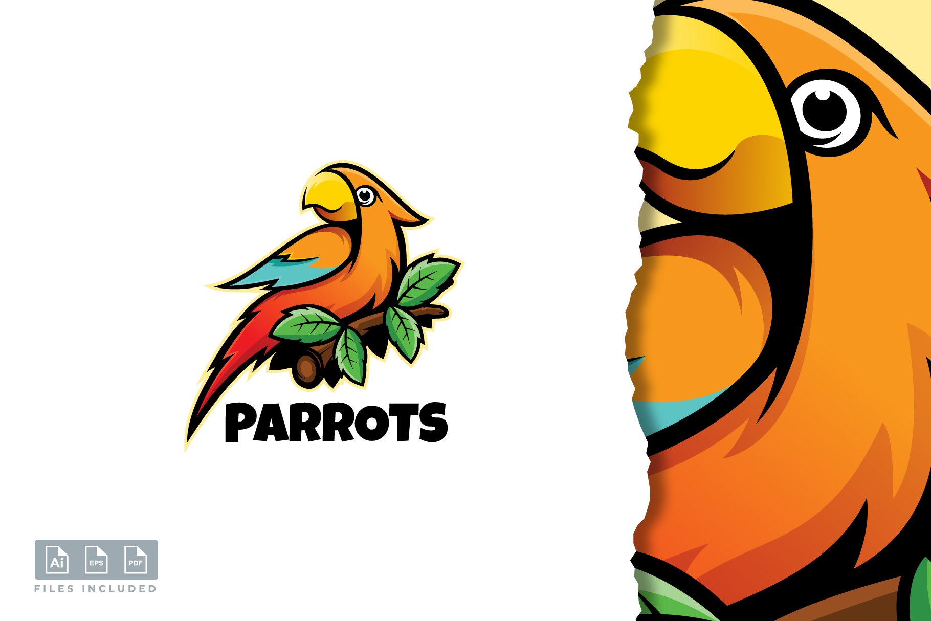 Parrot logo design cover image.