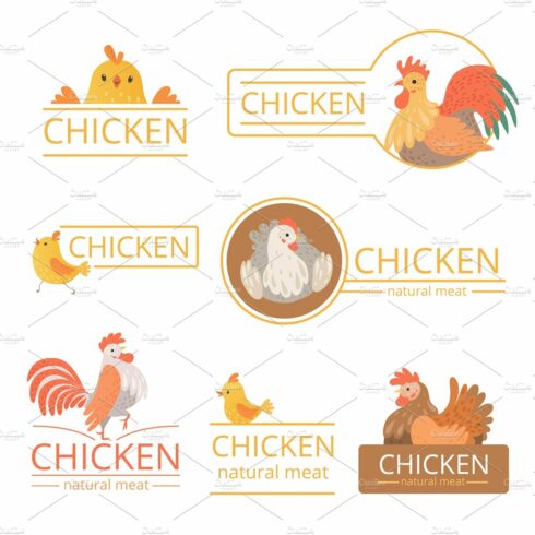 Pollo logo. Chicken illustrations cover image.