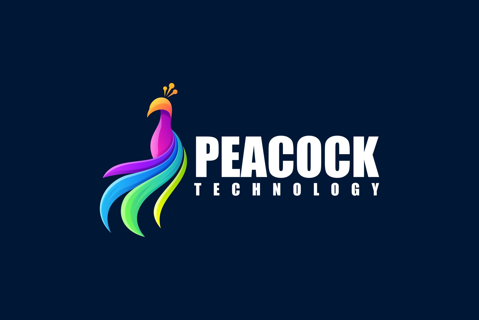 Peacock  Colorful Gradient Logo cover image.