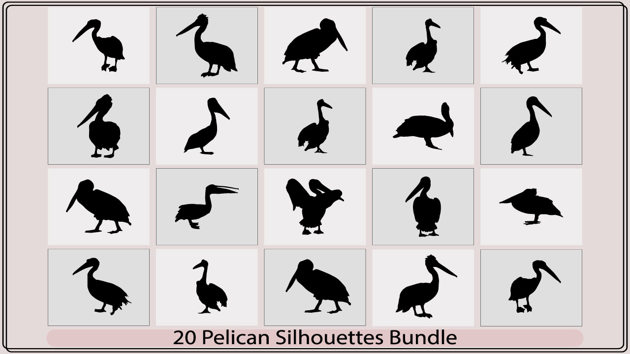 20 pelican silhouettes bundle.