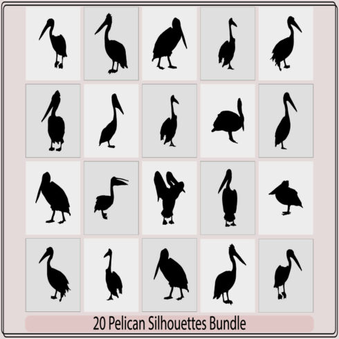 Set of Pelican silhouettes in blackSet of pelican flat icons,Vector pelican silhouette,Pelican silhouette set Vector illustration, cover image.
