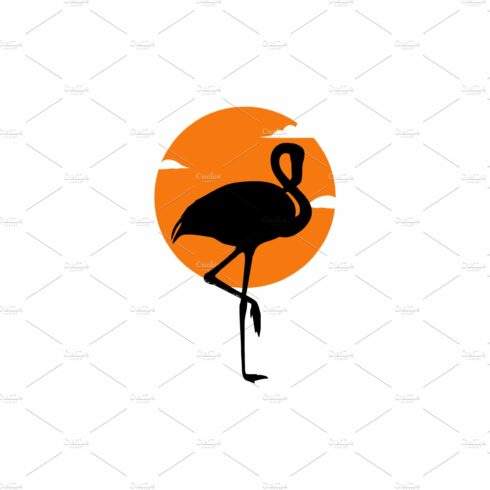 pelican logo design cover image.