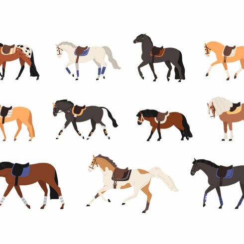 Horses set cover image.