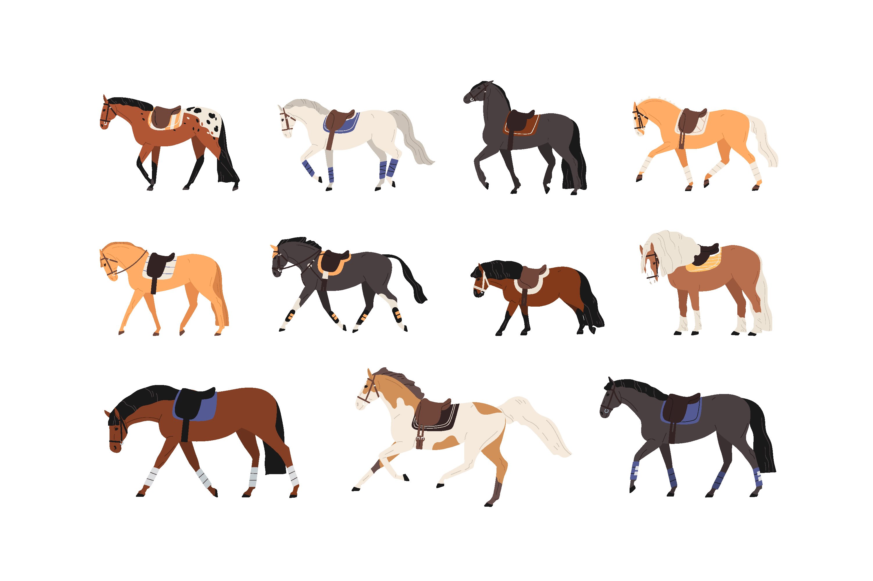 Horses set cover image.