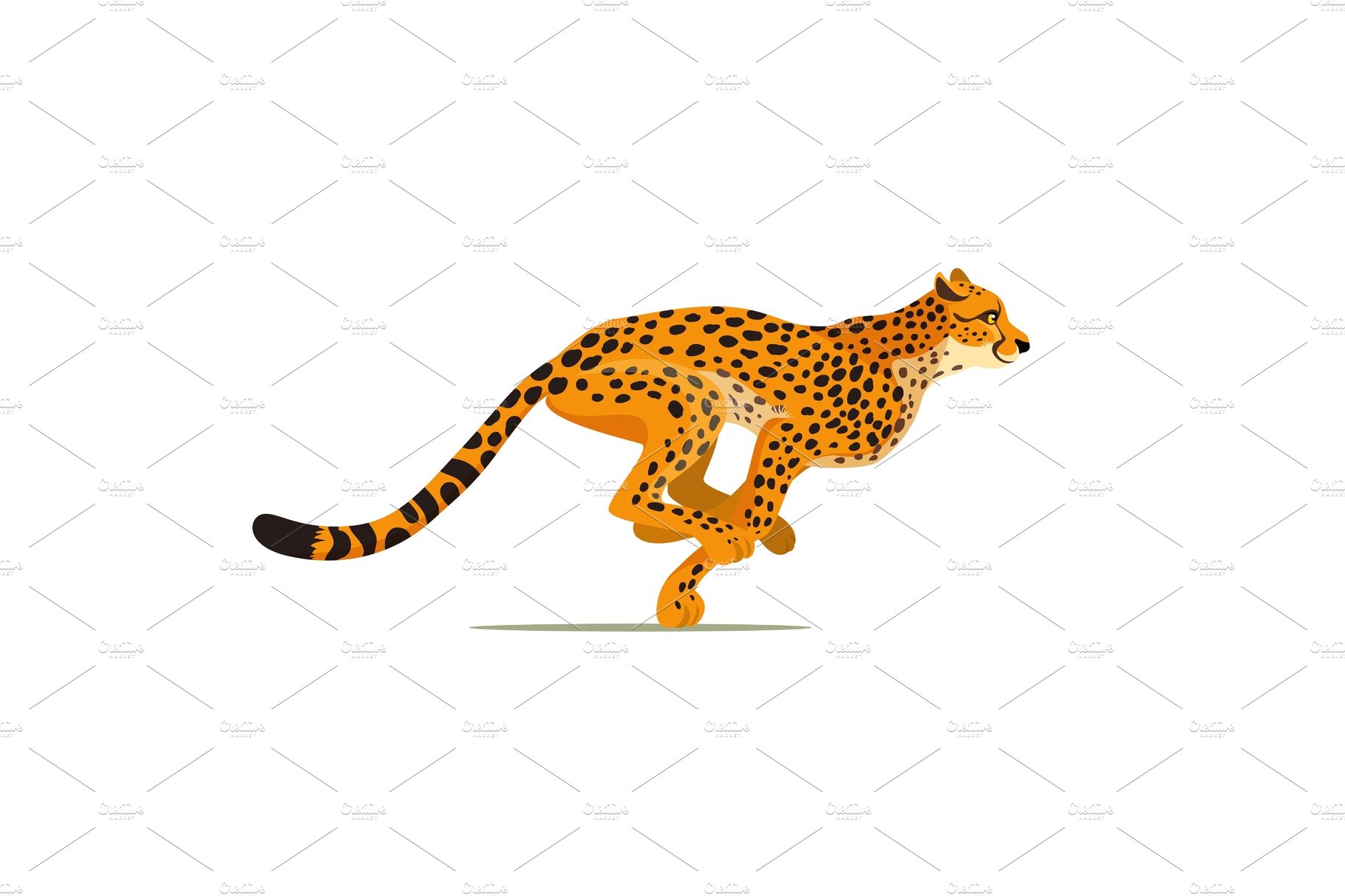 Gepard running. Cheetah animal cover image.