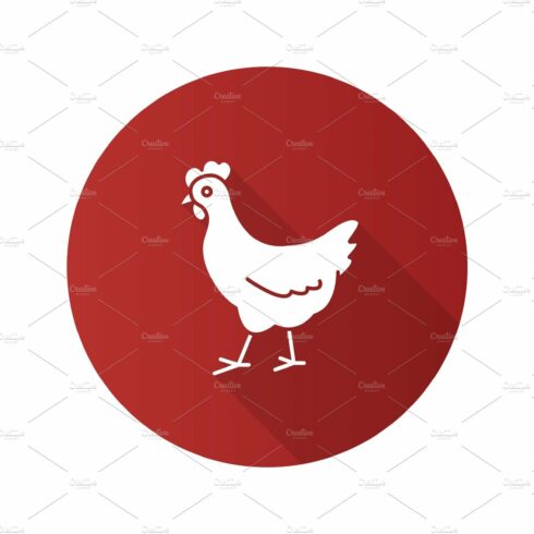 Chicken flat design long shadow glyph icon cover image.
