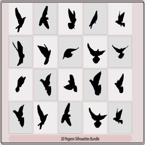 pigeons silhouette,pigeon silhouette vector,silhouettes of flying birds pigeon, cover image.