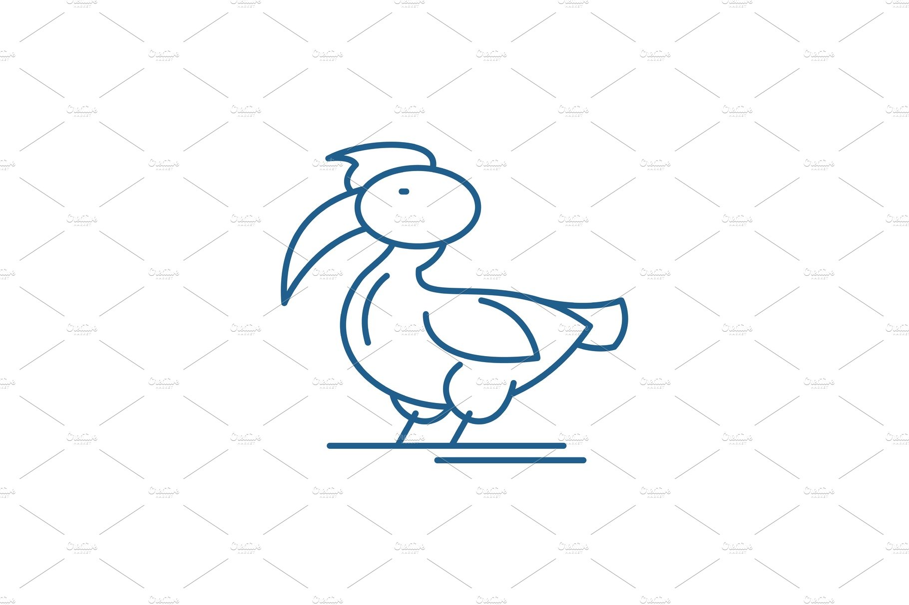 Pelican line icon concept. Pelican cover image.