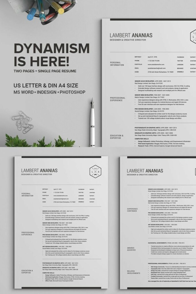 2 Pages Resume CV Pack - Lambert – MasterBundles