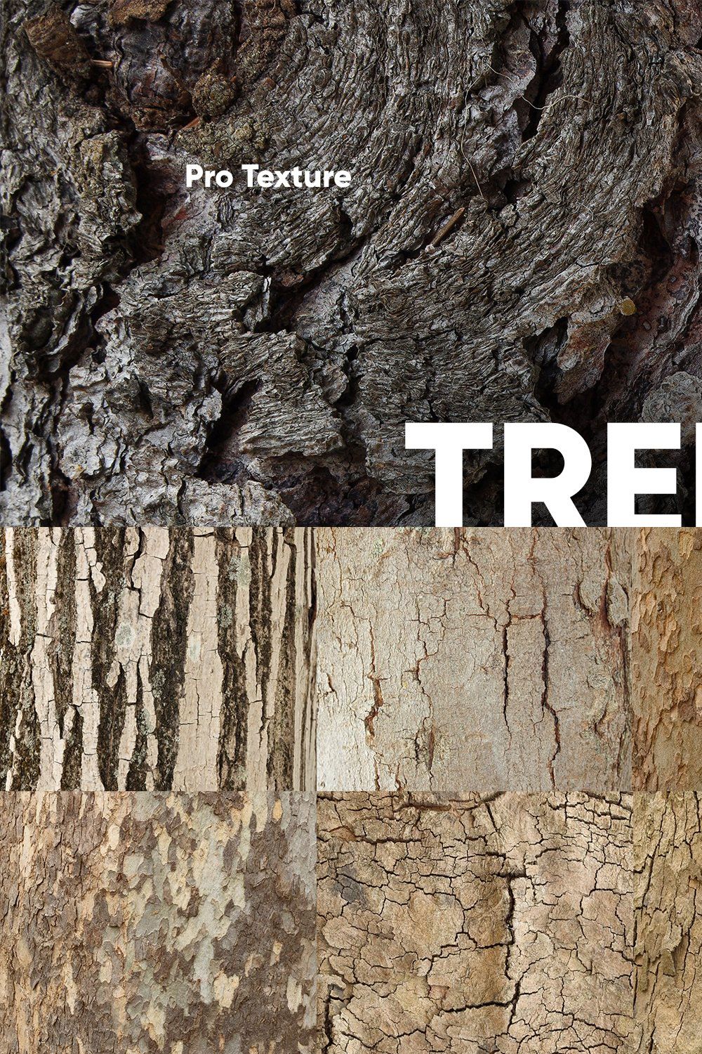 20 Tree Bark Textures pinterest preview image.