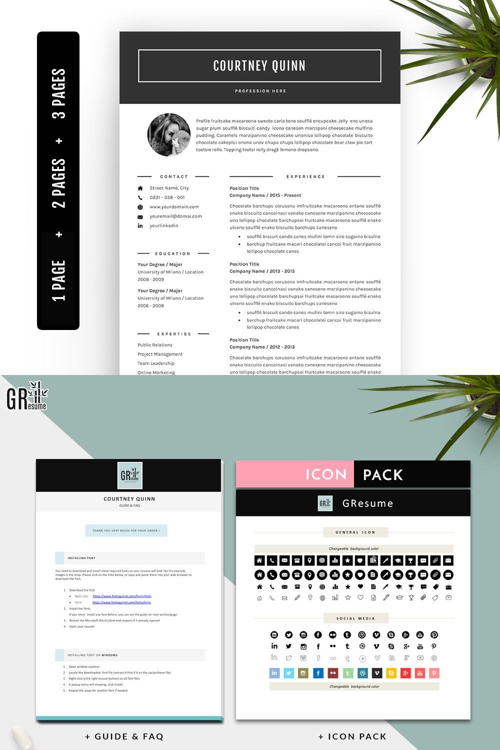 3 Page Professional Resume template pinterest preview image.