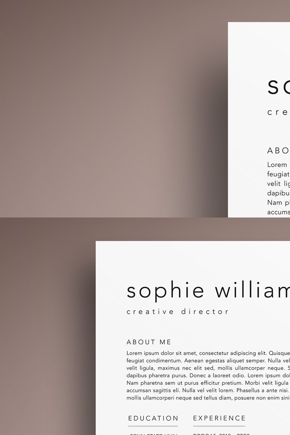 3 Page Resume CV Template Word Pages pinterest preview image.