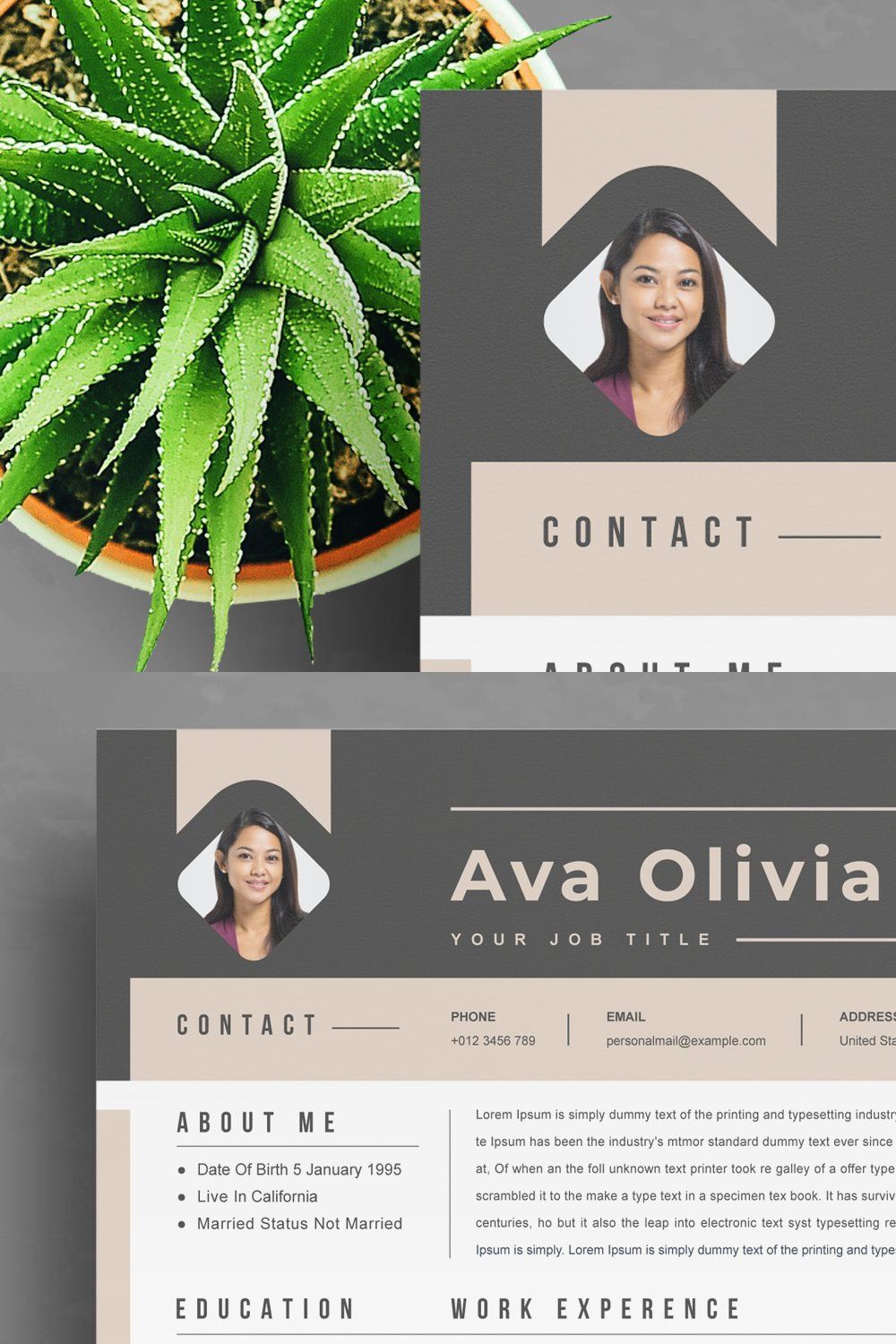 3 Page Resume Professional CV pinterest preview image.