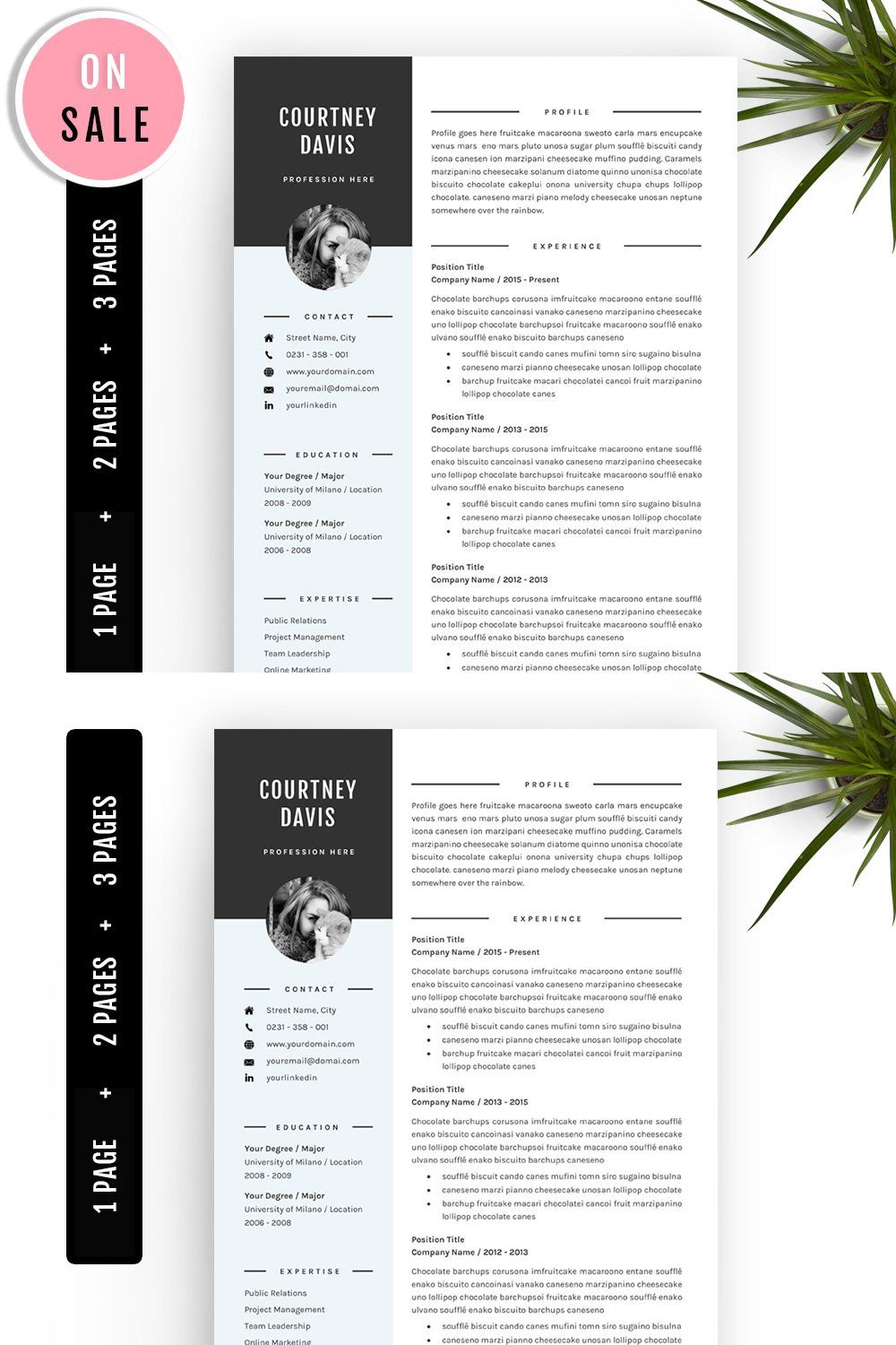 3 Pages Resume template CV Template pinterest preview image.