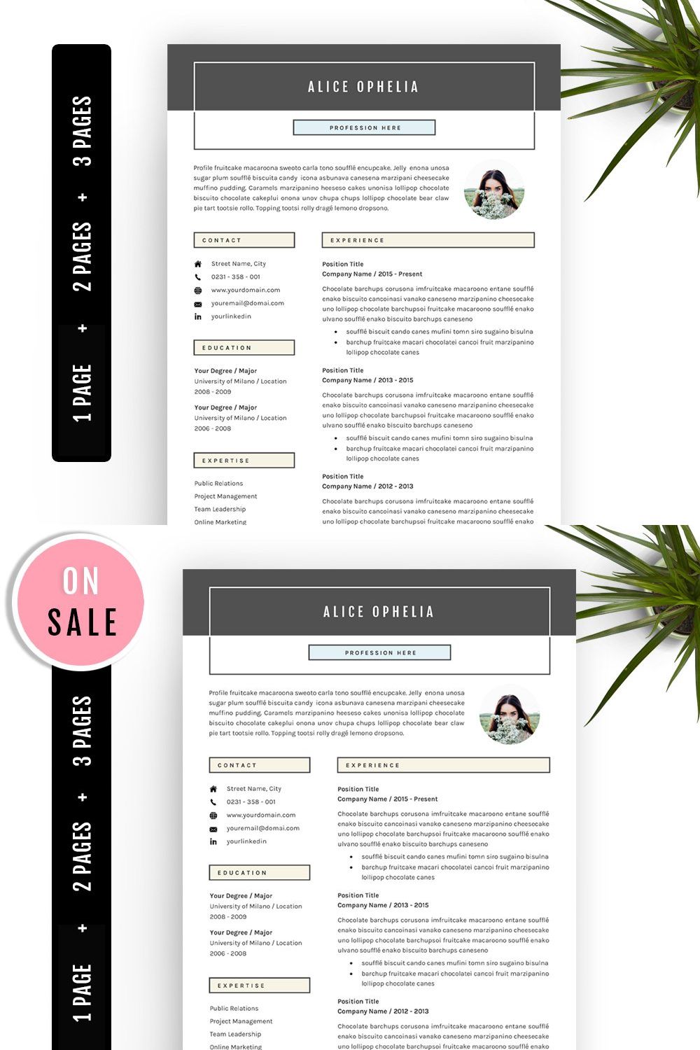 5 Pages Resume - CV Template pinterest preview image.