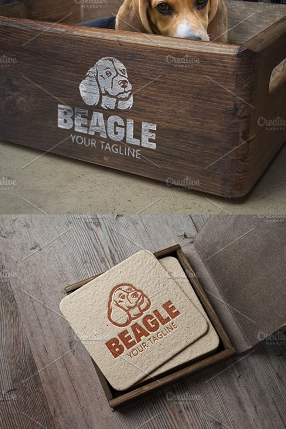 Beagle pinterest preview image.