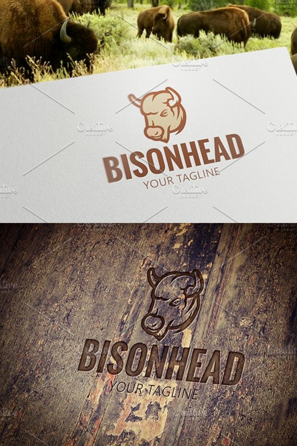 Bison Head pinterest preview image.
