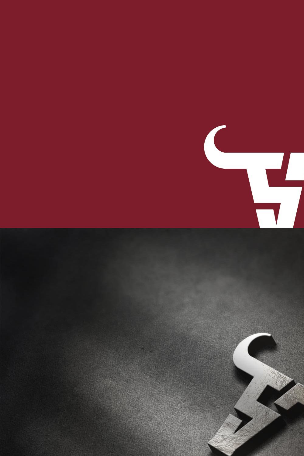 Bull Logo pinterest preview image.